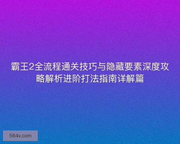 霸王2全流程通关技巧与隐藏要素深度攻略解析进阶打法指南详解篇
