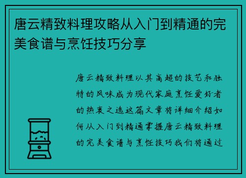 唐云精致料理攻略从入门到精通的完美食谱与烹饪技巧分享